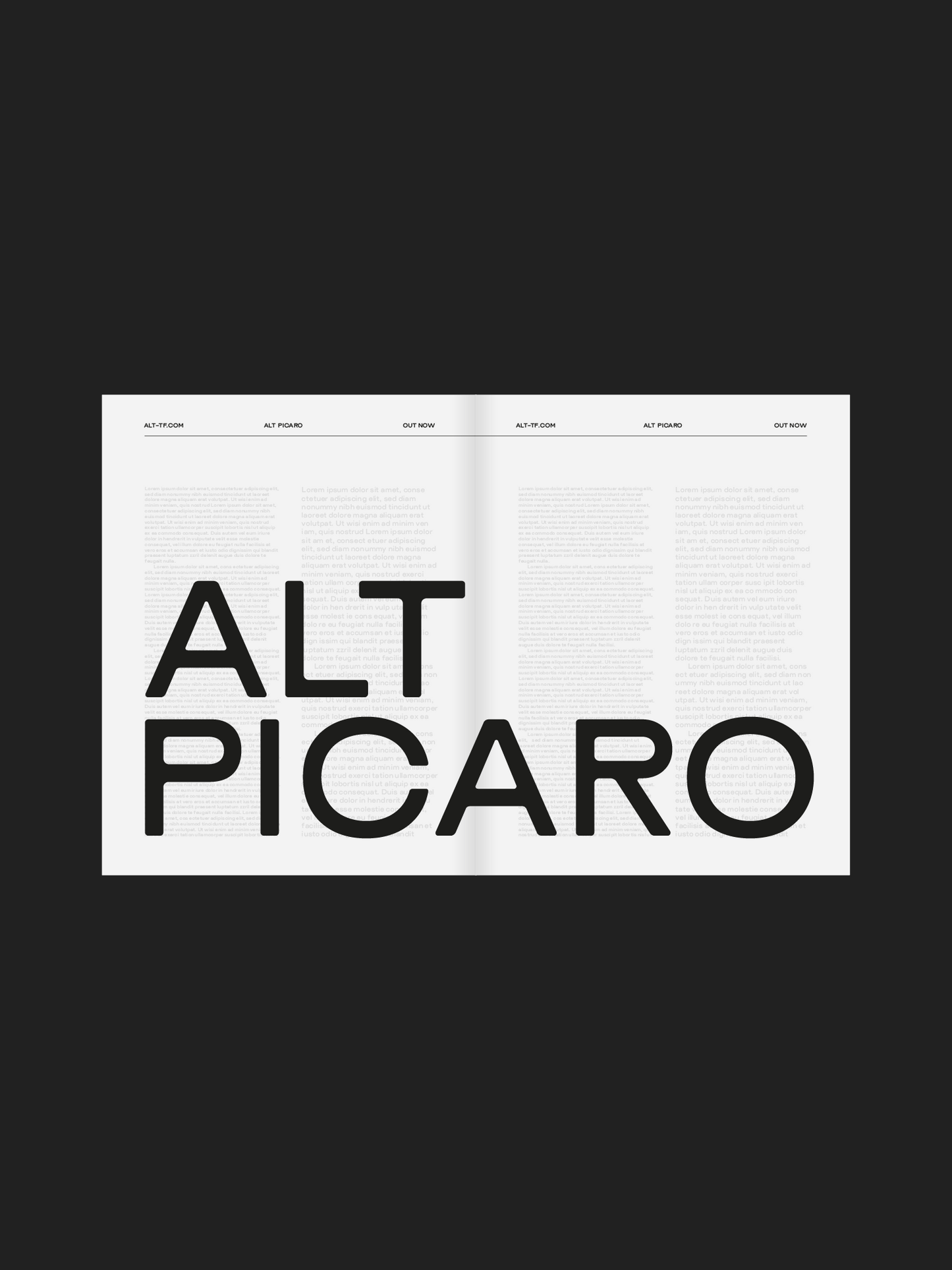 ALT Picaro