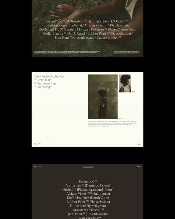 Website