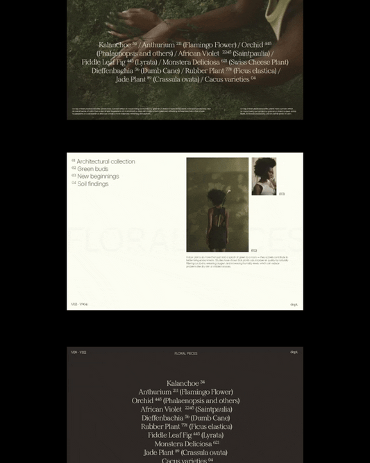 Website