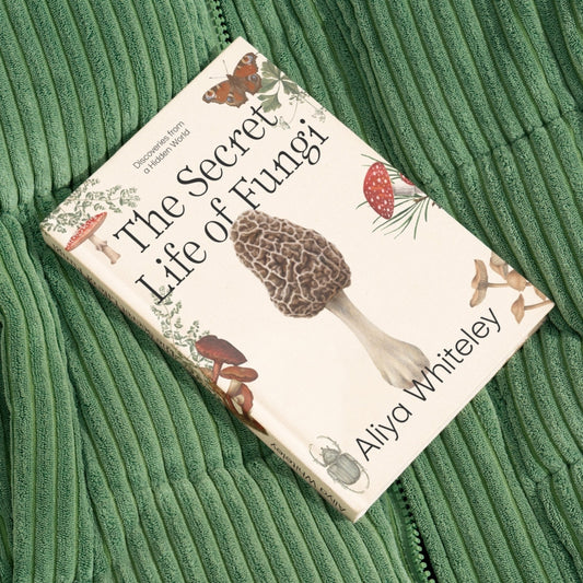 The Secret Life of Fungi