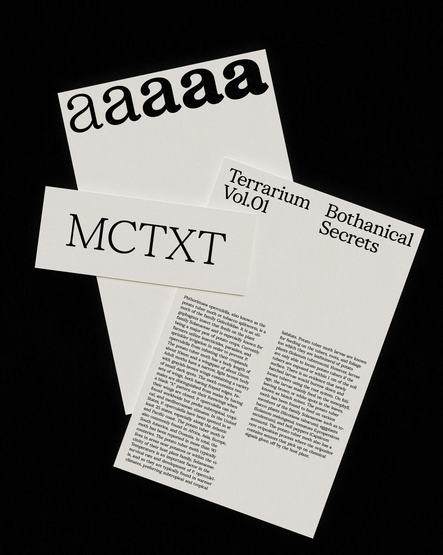 ALT Maria Clara Text